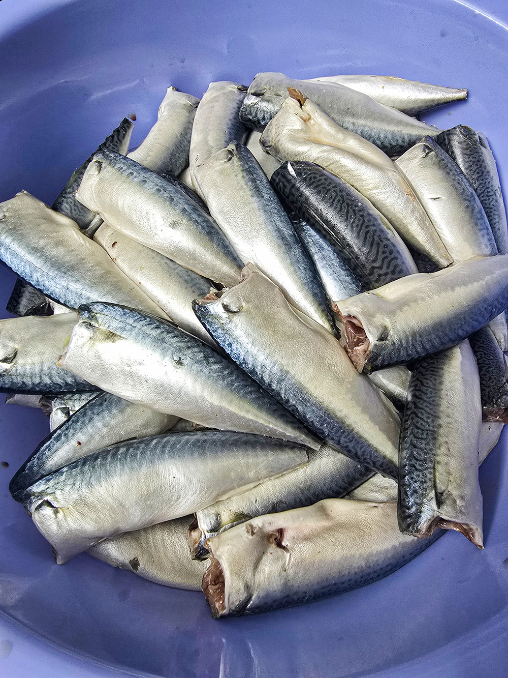 Cá nục bông tươi