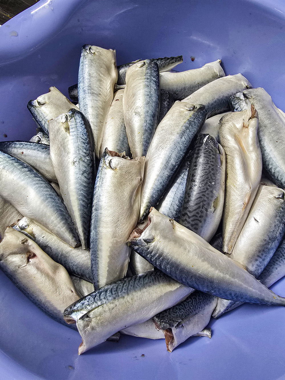 Cá nục bông Quảng Ngãi