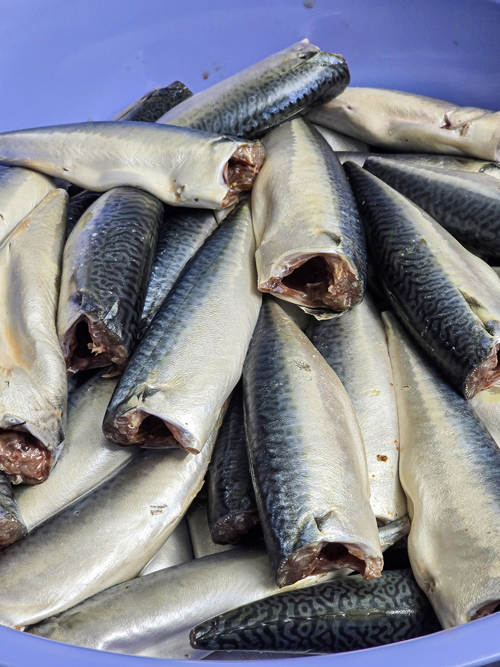 Cá nục bông sơ chế