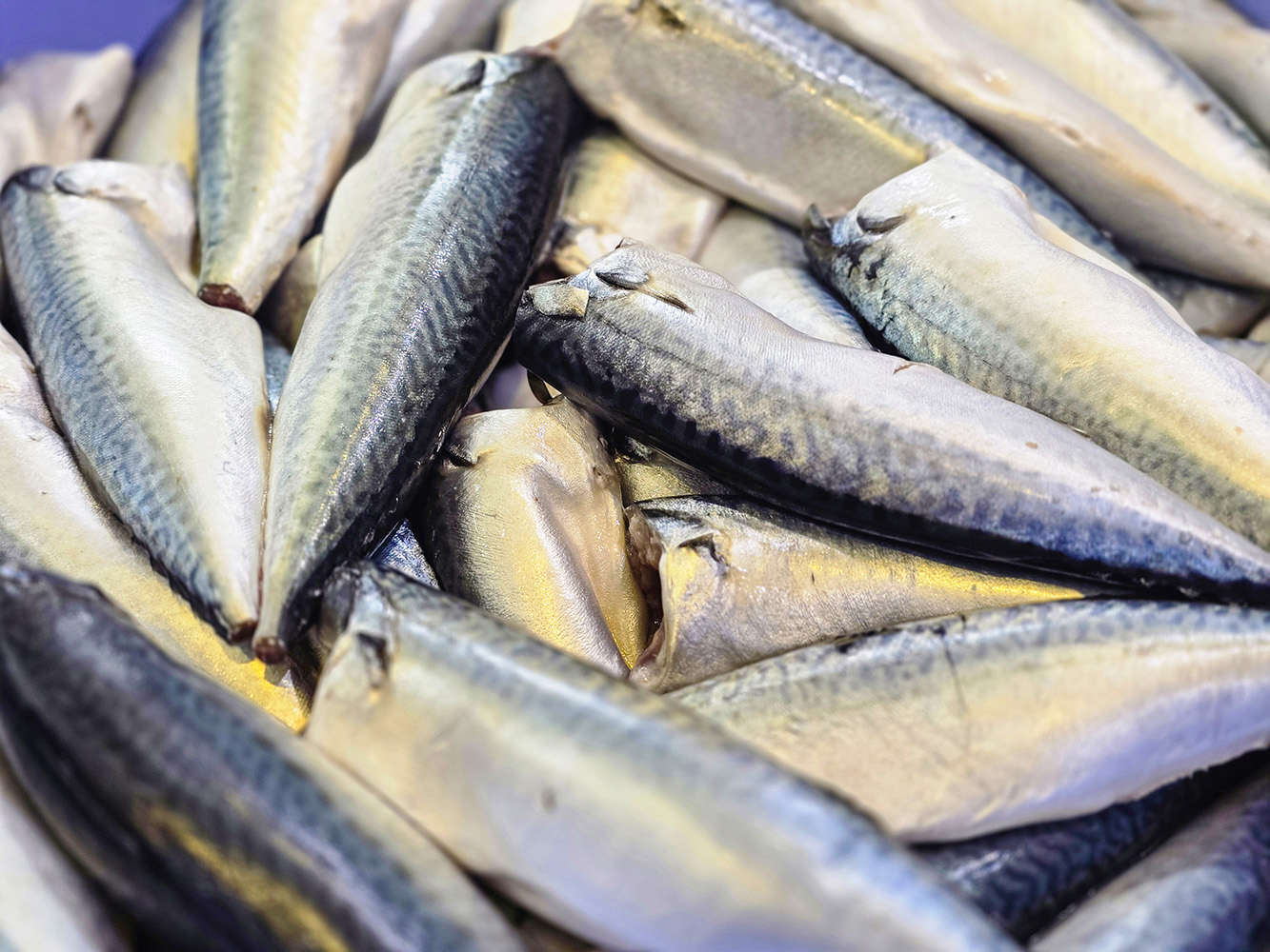 Cá nục bông chất lượng